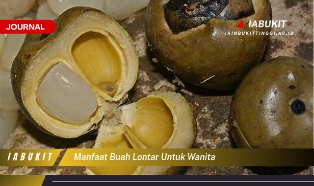 Inilah 8 Manfaat Buah Lontar untuk Wanita, Kesehatan, Kecantikan, dan Program Hamil Inilah 8 Manfaat Buah Lontar untuk Wanita, Kesehatan, Kecantikan, dan Program Hamil