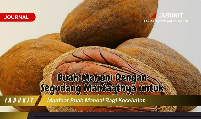 Inilah 9 Manfaat Buah Mahoni Bagi Kesehatan Tubuh Anda