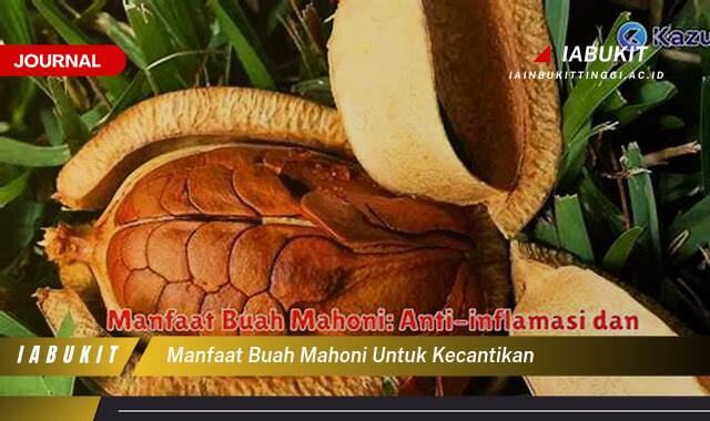 Ketahui 10 Manfaat Buah Mahoni untuk Kecantikan Kulit Wajah Anda Secara Alami