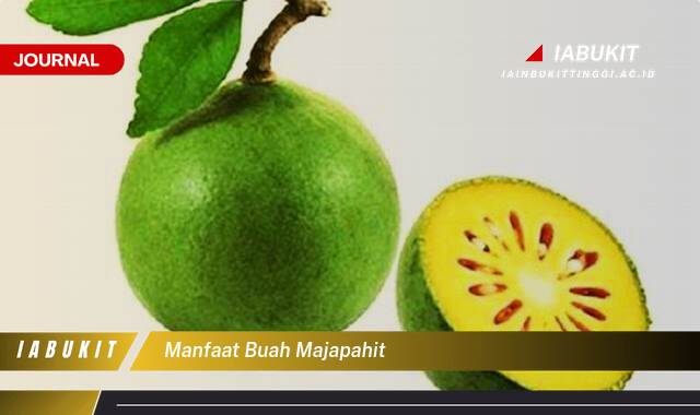 Inilah 8 Manfaat Buah Majapahit, Rahasia Kulit Sehat dan Bebas Jerawat!