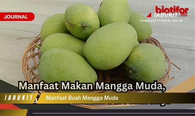 Inilah 8 Manfaat Buah Mangga Muda Bagi Kesehatan dan Kecantikan yang Jarang Diketahui