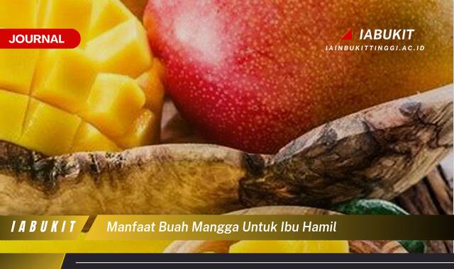 Inilah 9 Manfaat Buah Mangga untuk Ibu Hamil dan Janin, Nutrisi Penting untuk Kehamilan Sehat Inilah 9 Manfaat Buah Mangga untuk Ibu Hamil dan Janin, Nutrisi Penting untuk Kehamilan Sehat