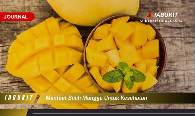 Inilah 8 Manfaat Buah Mangga untuk Kesehatan, Panduan Lengkap Inilah 8 Manfaat Buah Mangga untuk Kesehatan, Panduan Lengkap