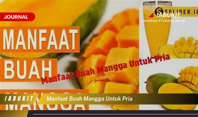 Inilah 10 Manfaat Buah Mangga untuk Kesehatan Pria, Energi, Imunitas, dan Lainnya Inilah 10 Manfaat Buah Mangga untuk Kesehatan Pria, Energi, Imunitas, dan Lainnya