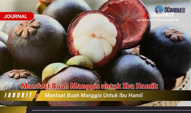 Inilah 10 Manfaat Buah Manggis untuk Ibu Hamil dan Janin, Nutrisi Penting untuk Kehamilan Sehat Inilah 10 Manfaat Buah Manggis untuk Ibu Hamil dan Janin, Nutrisi Penting untuk Kehamilan Sehat