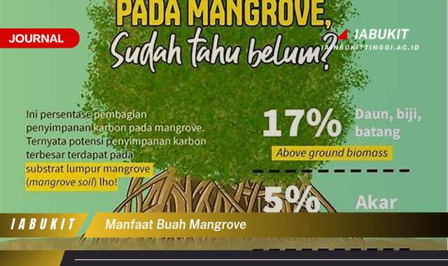 Inilah 9 Manfaat Buah Mangrove untuk Kesehatan dan Kecantikan Alami Anda