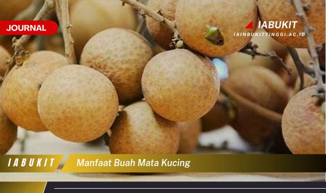 Inilah 8 Manfaat Buah Mata Kucing untuk Kesehatan dan Kecantikan Anda