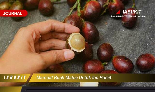 Inilah 9 Manfaat Buah Matoa untuk Ibu Hamil dan Janin, Nutrisi, Tips Konsumsi, dan Keamanan