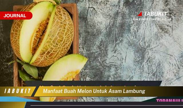 Inilah 9 Manfaat Buah Melon untuk Asam Lambung, Meredakan Gejala dan Mencegah Kambuh