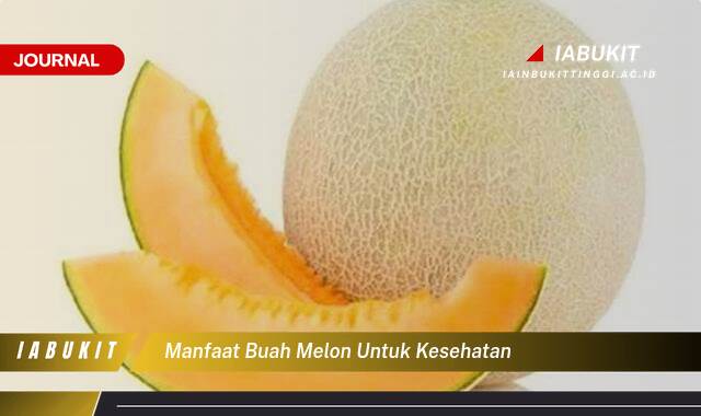 Inilah 8 Manfaat Buah Melon untuk Kesehatan, Panduan Lengkap dari A sampai Z Inilah 8 Manfaat Buah Melon untuk Kesehatan, Panduan Lengkap dari A sampai Z