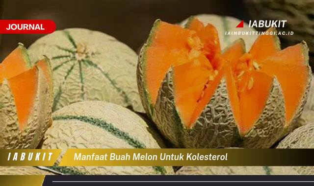 Inilah 9 Manfaat Buah Melon untuk Menurunkan Kolesterol Jahat dan Meningkatkan Kolesterol Baik