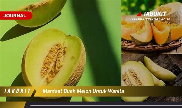 Inilah 9 Manfaat Buah Melon untuk Wanita, Meningkatkan Kesehatan dan Kecantikan