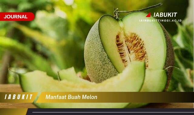 Inilah 8 Manfaat Buah Melon untuk Kesehatan, Kecantikan, dan Diet Anda