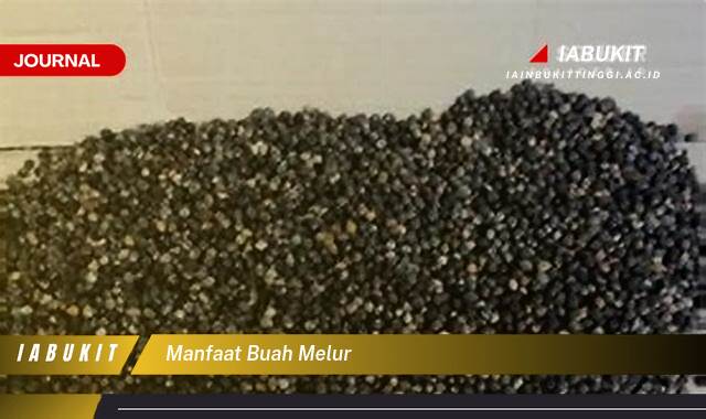 Inilah 8 Manfaat Buah Melur untuk Kesehatan dan Kecantikan