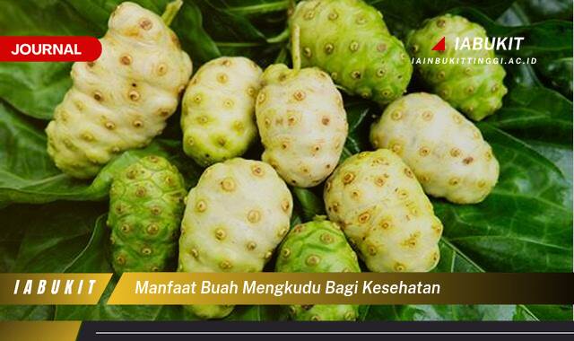 Inilah 10 Manfaat Buah Mengkudu Bagi Kesehatan, Khasiat Lengkap dan Cara Mengonsumsinya