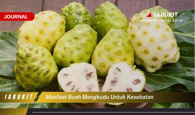 Inilah 8 Manfaat Buah Mengkudu untuk Kesehatan, Panduan Lengkap dan Terperinci Inilah 8 Manfaat Buah Mengkudu untuk Kesehatan, Panduan Lengkap dan Terperinci