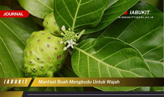 Inilah 8 Manfaat Buah Mengkudu untuk Wajah, Rahasia Kulit Sehat Alami