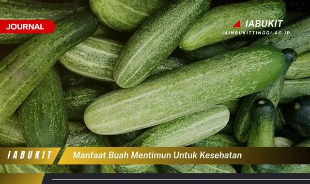 Inilah 9 Manfaat Buah Mentimun untuk Kesehatan, Rahasia Tersembunyi dan Cara Memaksimalkannya