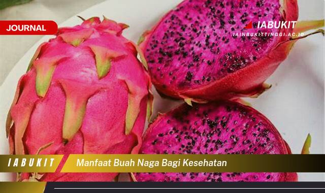 Inilah 9 Manfaat Buah Naga Bagi Kesehatan, Dari Meningkatkan Imunitas Hingga Menjaga Kesehatan Jantung