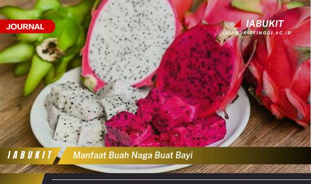 Ketahui 8 Manfaat Buah Naga Buat Bayi, Panduan Lengkap untuk Kesehatan dan Pertumbuhan Optimal