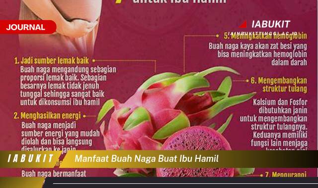 Inilah 10 Manfaat Buah Naga untuk Ibu Hamil, Segudang Nutrisi Penting bagi Kesehatan Bunda dan Janin Inilah 10 Manfaat Buah Naga untuk Ibu Hamil, Segudang Nutrisi Penting bagi Kesehatan Bunda dan Janin