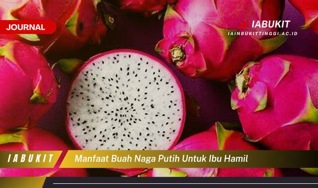 Inilah 10 Manfaat Buah Naga Putih untuk Ibu Hamil, Kandungan Gizi dan Tips Aman Konsumsi