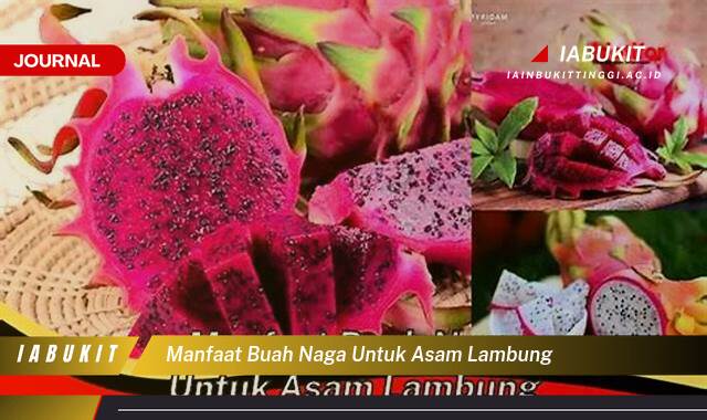 Inilah 8 Manfaat Buah Naga untuk Asam Lambung, Redakan Gejala dan Cegah Kekambuhan