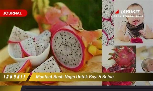Inilah 8 Manfaat Buah Naga untuk Bayi 5 Bulan, Panduan Lengkap untuk Kesehatan Optimal