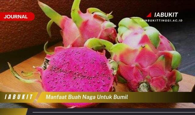 Inilah 9 Manfaat Buah Naga untuk Ibu Hamil dan Janin, Nutrisi Lengkap untuk Kehamilan Sehat Inilah 9 Manfaat Buah Naga untuk Ibu Hamil dan Janin, Nutrisi Lengkap untuk Kehamilan Sehat