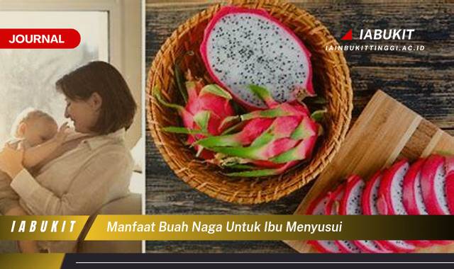 Inilah 8 Manfaat Buah Naga untuk Ibu Menyusui, Meningkatkan Kualitas ASI dan Daya Tahan Tubuh