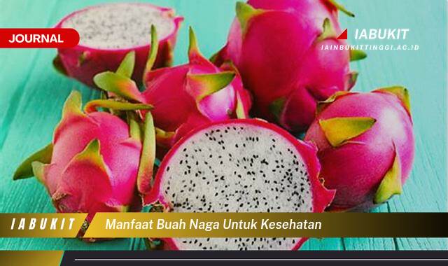 Inilah 8 Manfaat Buah Naga untuk Kesehatan, Panduan Lengkap dan Terperinci Inilah 8 Manfaat Buah Naga untuk Kesehatan, Panduan Lengkap dan Terperinci