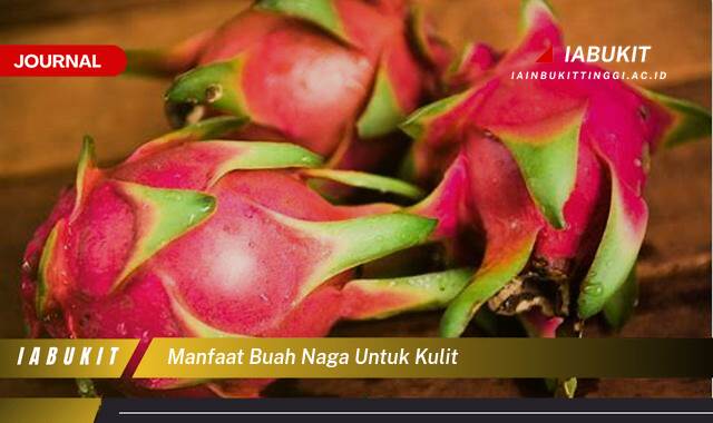 Inilah 10 Manfaat Buah Naga untuk Kulit,  Mencerahkan, Mencegah Penuaan, dan Tips Penggunaan