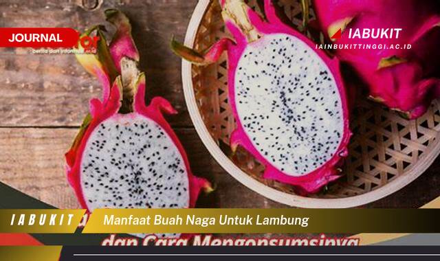 Inilah 9 Manfaat Buah Naga untuk Kesehatan Lambung Anda