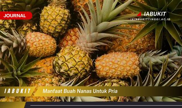 Inilah 10 Manfaat Buah Nanas untuk Kesehatan Pria, Meningkatkan Stamina, Imunitas, dan Lainnya Inilah 10 Manfaat Buah Nanas untuk Kesehatan Pria, Meningkatkan Stamina, Imunitas, dan Lainnya