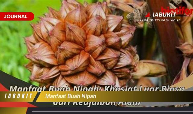 Inilah 9 Manfaat Buah Nipah untuk Kesehatan yang Jarang Diketahui