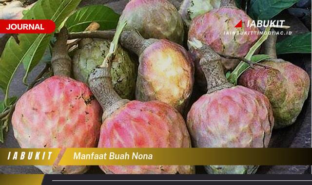 Inilah 10 Manfaat Buah Nona untuk Kesehatan Tubuh Anda