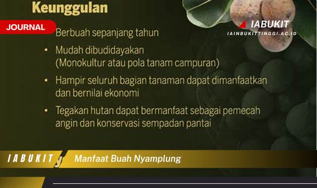 Inilah 8 Manfaat Buah Nyamplung, Kandungan Gizi, Khasiat Kesehatan, dan Cara Pemanfaatannya