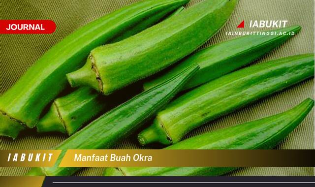 Inilah 8 Manfaat Buah Okra untuk Kesehatan, Dari Menurunkan Gula Darah Hingga Mencegah Kanker