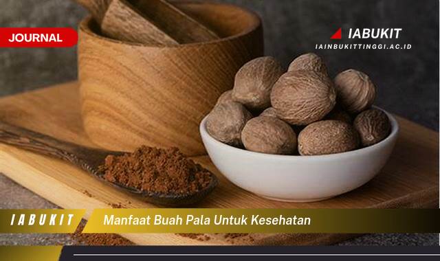 Inilah 9 Manfaat Buah Pala untuk Kesehatan, Panduan Lengkap dan Terperinci