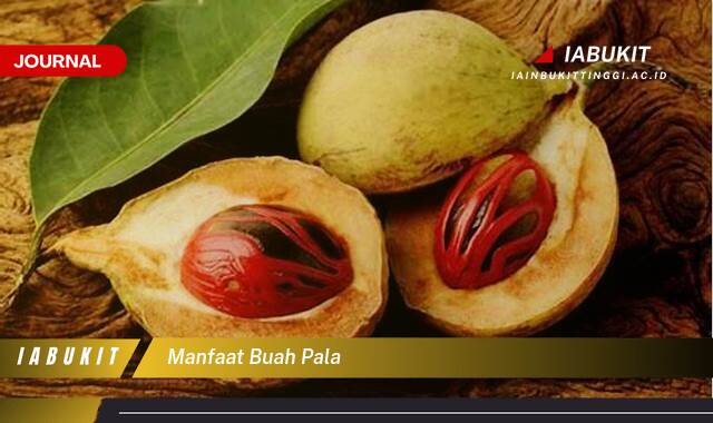 Ketahui 10 Manfaat Buah Pala untuk Kesehatan Tubuh Anda Ketahui 10 Manfaat Buah Pala untuk Kesehatan Tubuh Anda
