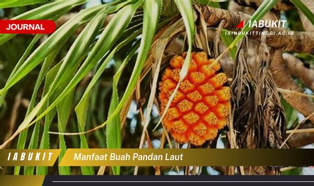 Inilah 9 Manfaat Buah Pandan Laut, Khasiat Luar Biasa untuk Kesehatan dan Kecantikan