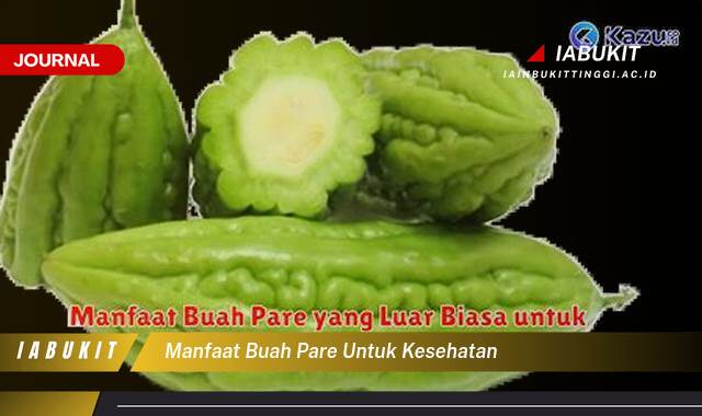 Inilah 9 Manfaat Buah Pare untuk Kesehatan, Panduan Lengkap dan Terperinci Inilah 9 Manfaat Buah Pare untuk Kesehatan, Panduan Lengkap dan Terperinci