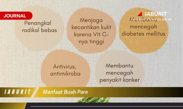 Inilah 10 Manfaat Buah Pare untuk Kesehatan, Tips dan Cara Mengolahnya Inilah 10 Manfaat Buah Pare untuk Kesehatan, Tips dan Cara Mengolahnya
