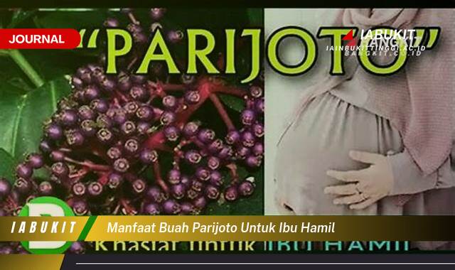 Inilah 8 Manfaat Buah Parijoto untuk Ibu Hamil, Nutrisi, Khasiat, dan Cara Aman Mengonsumsinya
