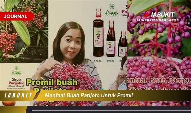 Inilah 9 Manfaat Buah Parijoto untuk Promil, Meningkatkan Kesuburan dan Peluang Kehamilan