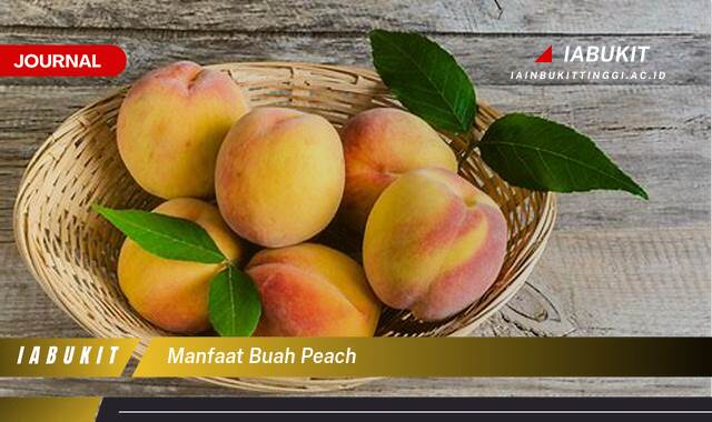 Inilah 8 Manfaat Buah Peach untuk Kesehatan, Kecantikan, dan Resep Lezat Inilah 8 Manfaat Buah Peach untuk Kesehatan, Kecantikan, dan Resep Lezat