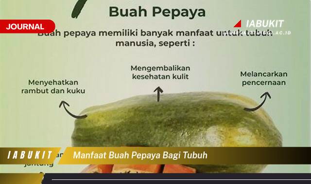 Inilah 10 Manfaat Buah Pepaya Bagi Tubuh, Tingkatkan Imunitas, Lancarkan Pencernaan, dan Jaga Kesehatan Kulit