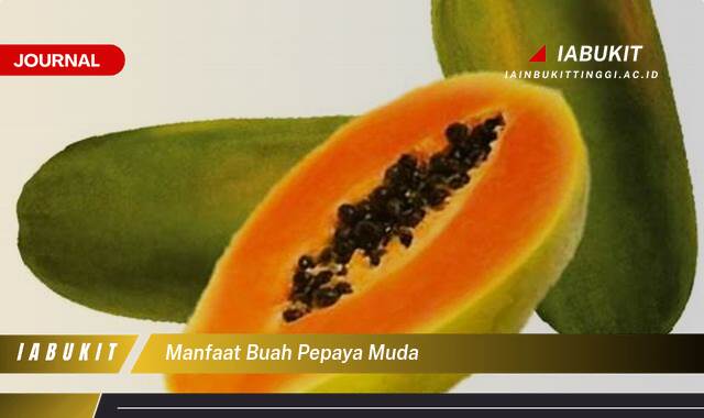 Inilah 9 Manfaat Buah Pepaya Muda untuk Kesehatan yang Jarang Diketahui