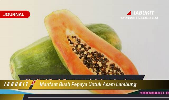 Inilah 8 Manfaat Buah Pepaya untuk Asam Lambung, Meredakan Nyeri dan Mencegah Kambuh