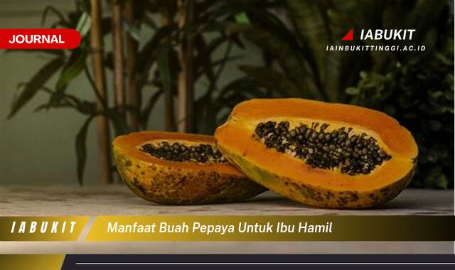 Inilah 9 Manfaat Buah Pepaya untuk Ibu Hamil, Panduan Lengkap dan Aman Inilah 9 Manfaat Buah Pepaya untuk Ibu Hamil, Panduan Lengkap dan Aman